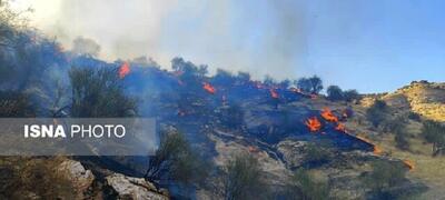 آتش‌سوزی در منابع طبیعی جاده چالوس
