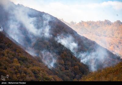 آتش‌ 3100 هکتار از جنگل‌های لرستان را خاکستر کرد + فیلم - تسنیم