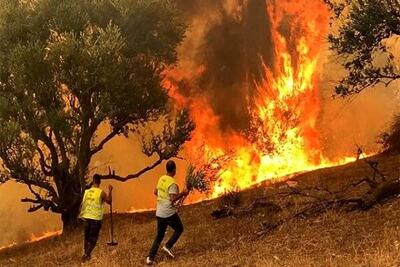 شناسایی عوامل آتش سوزی ‌جنگل های زاگرس‌ در لرستان