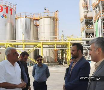 موانع و مشکلات ۷ واحد تولیدی در شهرک صنعتی شیراز بررسی شد