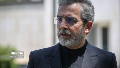 باقری: ایران شریک راهبردی بریکس شده است