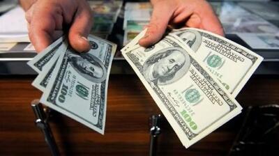 نباید ارز کالا‌های اساسی در زمان انتقال دولت حذف می‌شد | اقتصاد24