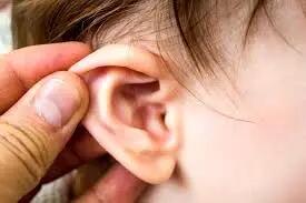 در مورد عفونت گوش چه میدانید؟ + درمانهای خانگی!
