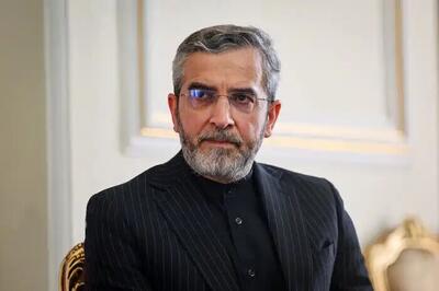 باقری: ایران شریک راهبردی تصمیم گیری در کنار سایر اعضای بریکس تبدیل شده است