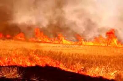 آتش به جان 7.5 هکتار از مزارع گندم شهرستان شازند افتاد
