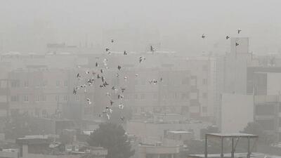 هواشناسی درباره وزش باد شدید در تهران هشدار داد