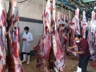 افزایش عرضه گوشت قرمز در بازار