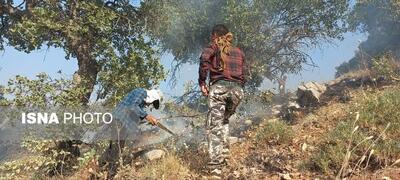 هشدار منابع طبیعی نسبت به احتمال آتش‌سوزی در جنگل‌های مازندران