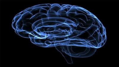 سوسو زدن مغزی کی اتفاق می افتد؟ + کشف حیرت انگیز امواج مغزی که خواب و بیداری را کنترل می‌کنند