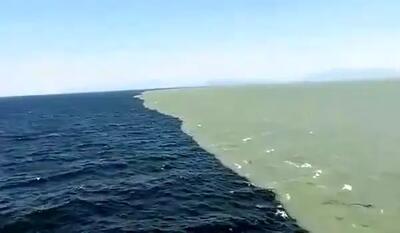 دو اقیانوسی که به هم می رسند اما هرگز ترکیب نمی شوند+ فیلم