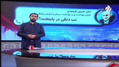 توضیحات مهم معاون وزیر بهداشت درباره شیوع بیماری تب دنگی در تهران!