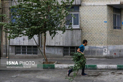 تدام هوای گرم با وزش باد در تهران