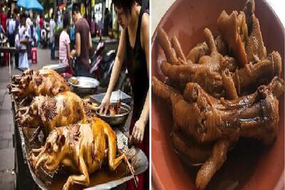 غذاهای خلاقانه؛ 20 غذای عجیب چین از نوزاد زنده مارماهیو هشت پا تا خیار دریایی