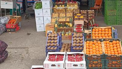 فروش روزانه ۵٠٠ تُن میوه و تره بار در میدان بار گنبدکاووس