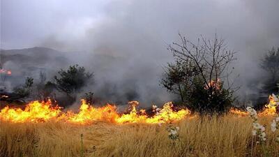 کاهش ۲۰ درصدی آتش‌سوزی در عرصه‌های طبیعی کردستان