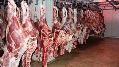 جدیدترین قیمت گوشت قرمز امروز ۱ مرداد ۱۴۰۳/ گوشت گران شد؟ + جدول