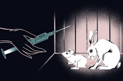 شکنجه‌گاهِ حیوانات | بازنگری در آزمایش روی حیوانات | پایگاه خبری تحلیلی انصاف نیوز