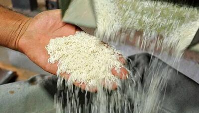 جریمه نقدی تاوانی برای فروش برنج‌های تقلبی