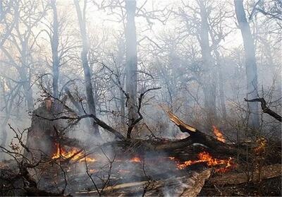 لزوم تشکیل ستاد مدیریت بحران در مراکز استان‌ برای پیشگیری از حریق جنگل‌ها