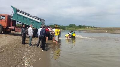 یک میلیون و ۷۰۰ هزار قطعه بچه ماهی سفید در رودخانه شفارود گیلان رهاسازی شد