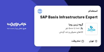 استخدام SAP Basis Infrastructure Expert در گروه زرین رویا
