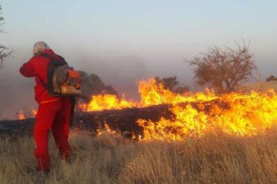 جنگل‌های منطقه «خامی» شهرستان گچساران در آتش می سوزد