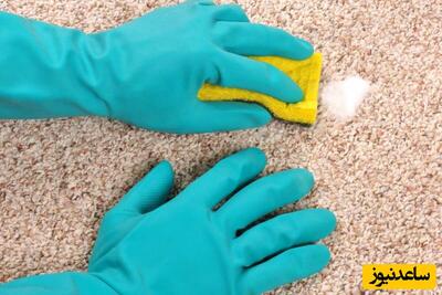 بهترین روش از بین بردن لکه فرش و مبل | با یه قرص ماشین ظرفشویی از شر لکه‌های مبلمان خلاص شو! +ویدئو