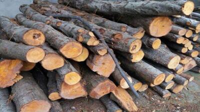 کشف بیش از یک تن چوب قاچاق در کهگیلویه
