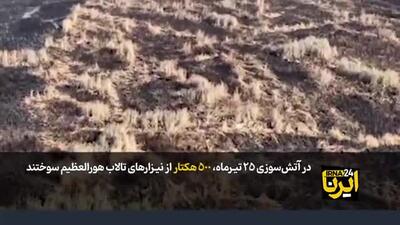 مرگ دسته جمعی تالاب هورالعظیم خوزستان