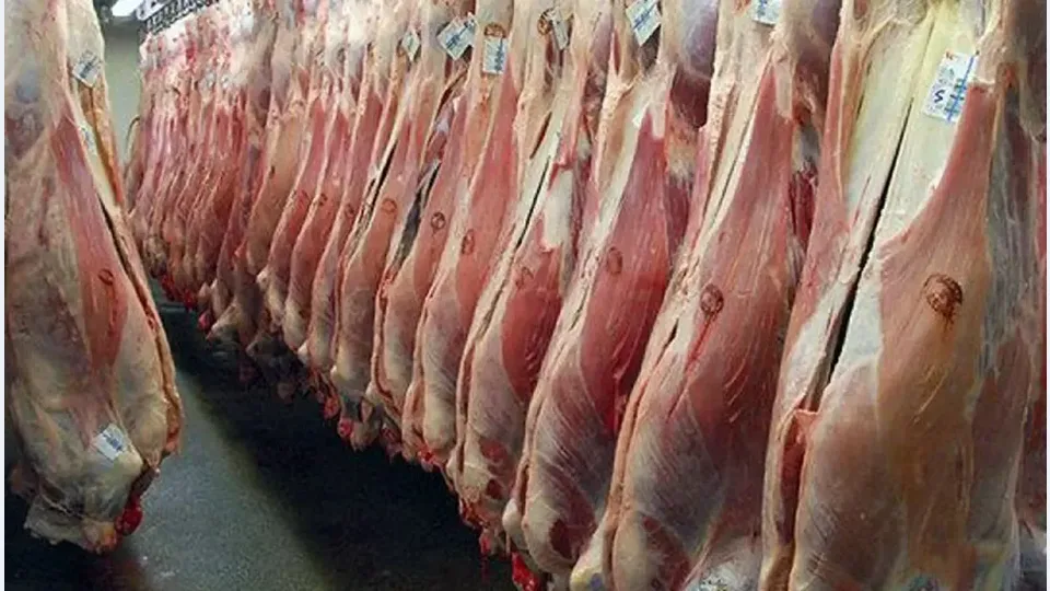 گوشت اسب و الاغ مجوز گرفت؟ پاسخ رسمی سازمان دامپزشکی به شایعات